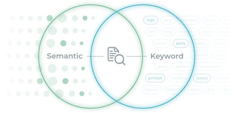 AI Semantic Search (RAG + Gemini)